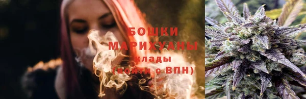 шишки Арсеньев