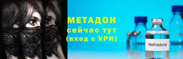 шишки Арсеньев