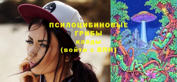 шишки Арсеньев