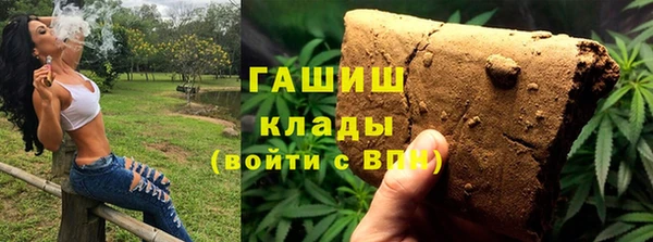 шишки Арсеньев