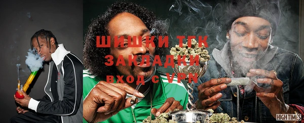 шишки Арсеньев