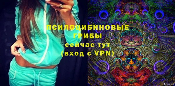 шишки Арсеньев