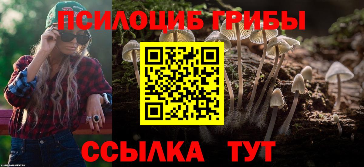 Псилоцибиновые грибы MAGIC MUSHROOMS  Псилоцибиновые грибы мицелий  Дзержинский  Вход с VPN 